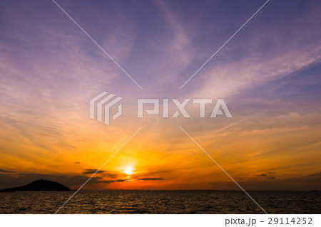 夕陽 エコパーク 夕陽 エコパーク 29114252
