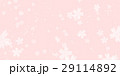 さくら 29114892