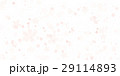 さくら 29114893