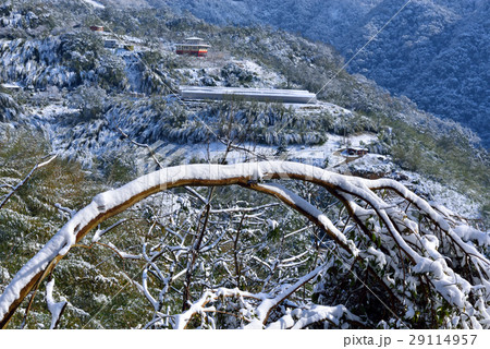雪景 銀世界 雪景色 29114957