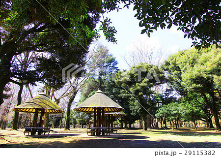 代々木公園 29115382