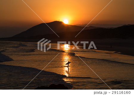 夕焼け ロングビーチ 伊良湖 夕焼け ロングビーチ 伊良湖 29116160