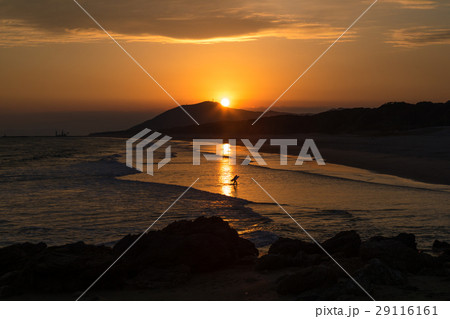 夕焼け ロングビーチ 伊良湖 夕焼け ロングビーチ 伊良湖 29116161