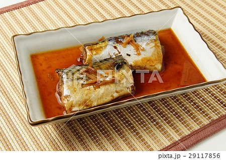 鯖煮 29117856