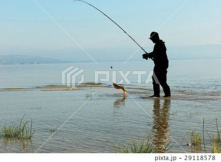 fisherman caught a large carp 29118578