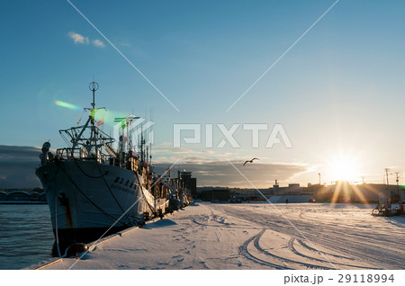 イカ釣り船 29118994