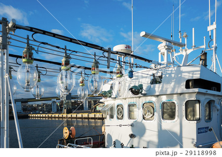 イカ釣り船 29118998