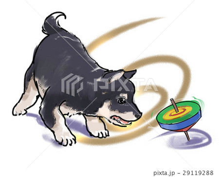 コマと犬 コマと犬 29119288