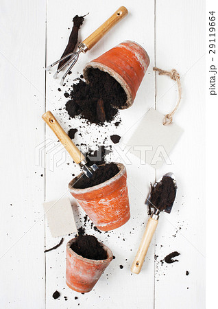 Garden tools on the white wooden table 29119664