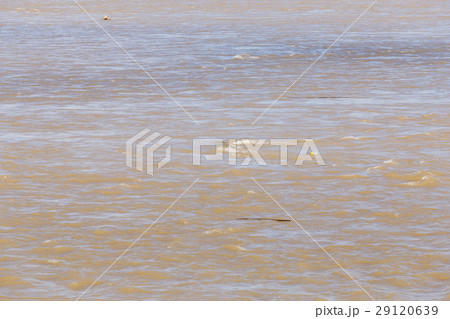 close up water in river 29120639