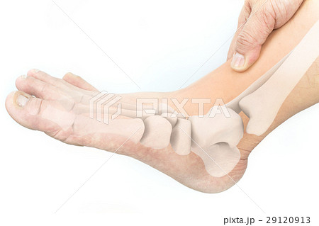 foot bone pain foot bone pain 29120913