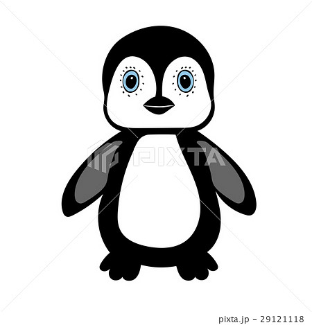 Baby Penguin standing cute animal 29121118