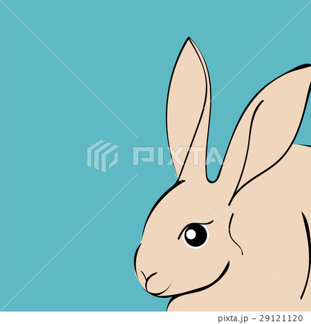 Easter Rabbit animal cartoon 29121120