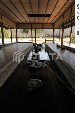 早春の岡山後楽園「流店」（千入の森と桜林方向を見る） 29121326