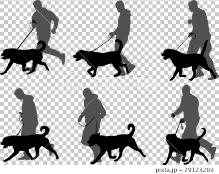 man training dog silhouettes 29123289