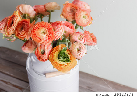 Orange and yellow persian buttercup flowers 29123372