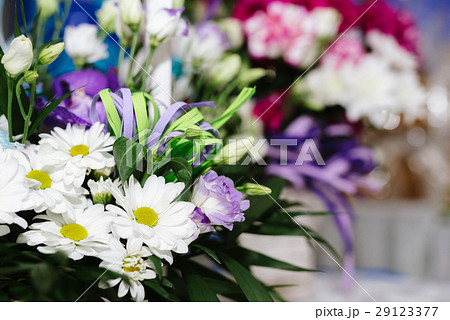 White camomiles, wedding decoration White camomiles, wedding decoration 29123377