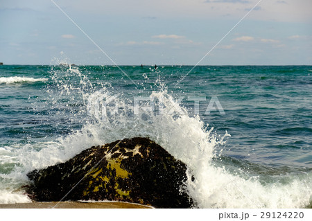 波飛沫 29124220
