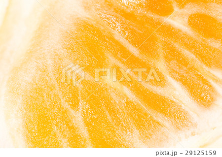 orange as a background. super macro 29125159