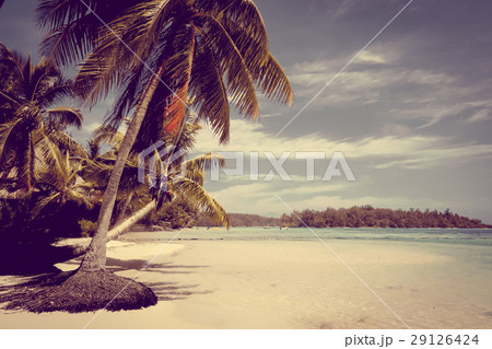 Paradise beach and lagoon in Moorea Island 29126424