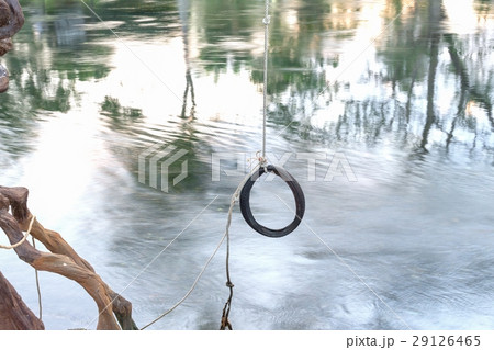 Tire swing hanging from a tree 29126465