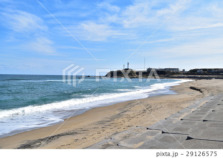 君ケ浜からの犬吠埼灯台の眺め 29126575
