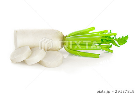 radish on white background 29127819