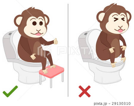 Monkey feel good and bad practice in use toilet. 29130310