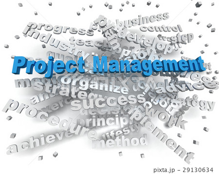 3d image Project Management word cloud concept 3d image Project Management word cloud concept 29130634