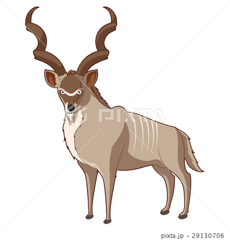 Cartoon smiling Kudu 29130706