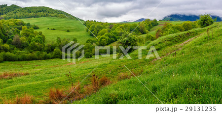 rural area in Carpathian valley rural area in Carpathian valley 29131235