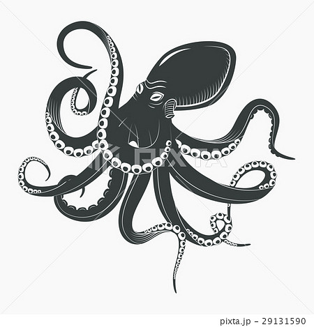 Ocean Octopus Or Underwater Squid Stock Illustration