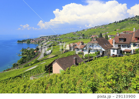 ラヴォーの風景 29133900