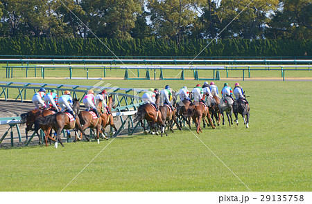 競馬先行争い 29135758