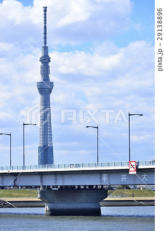 東京 都市風景 東京スカイツリーと平井大橋 東京 都市風景 東京スカイツリーと平井大橋 29138896