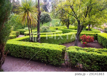 French formal garden French formal garden 29141863