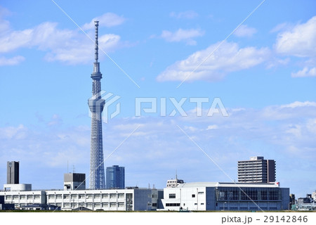 東京　都市風景　東京スカイツリー 29142846