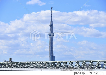 東京　都市風景　東京スカイツリー 29142888