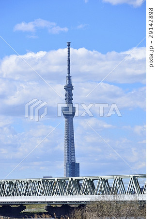 東京　都市風景　東京スカイツリー 29142898