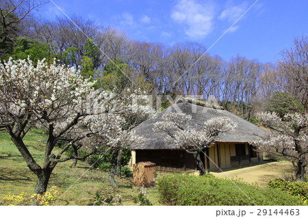 薬師池公園　旧永井家 29144463