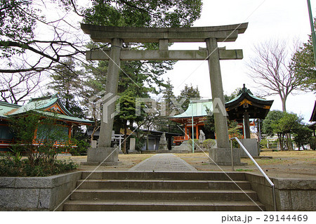 野毛六所神社 野毛六所神社 29144469