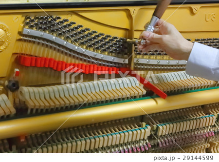 ピアノの調律 29144599