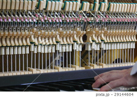 ピアノの調律 ピアノの調律 29144604