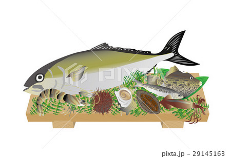 夏の風物詩海産物 29145163