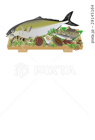 夏の風物詩海産物 29145164