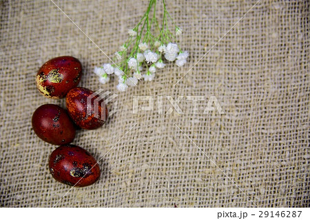 Easter eggs on a beautiful background Easter eggs on a beautiful background 29146287