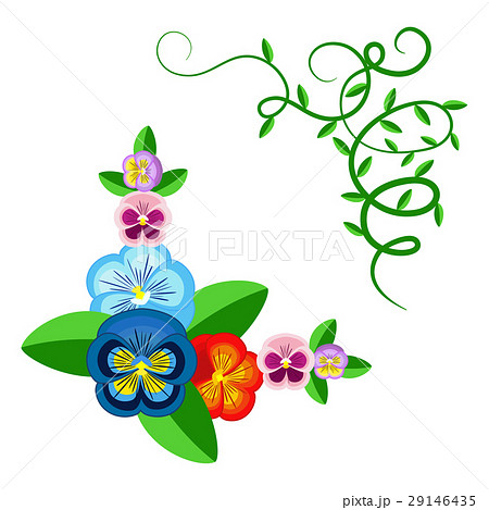 Pansy flowers and green plants frame. Pansy flowers and green plants frame. 29146435