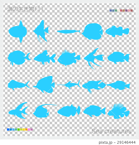 Sea creature silhouette 29146444