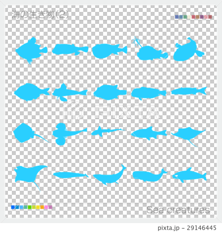 海の生き物 シルエット 29146445