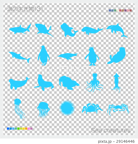海の生き物 シルエット 29146446